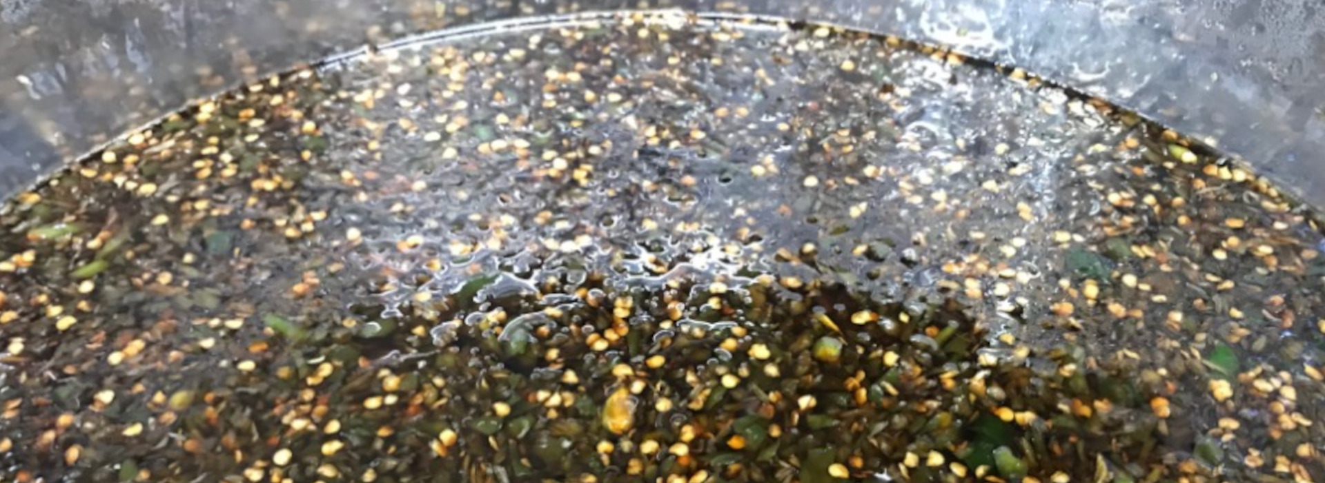 Green Chili Soy Sauce